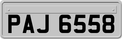 PAJ6558