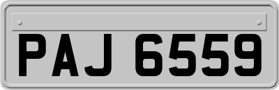 PAJ6559
