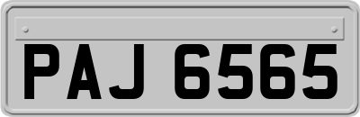 PAJ6565