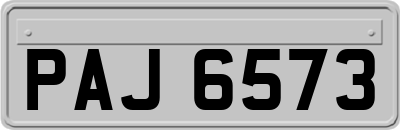 PAJ6573