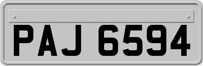 PAJ6594