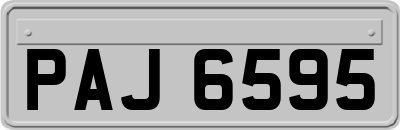PAJ6595