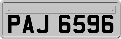 PAJ6596