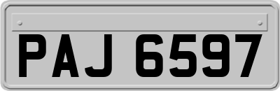PAJ6597
