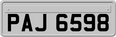 PAJ6598