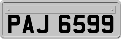 PAJ6599