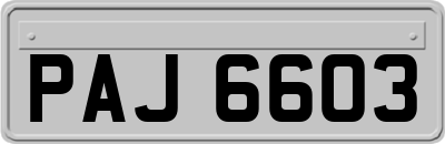PAJ6603