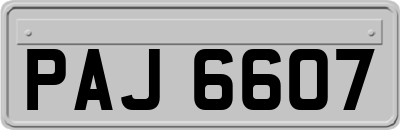 PAJ6607