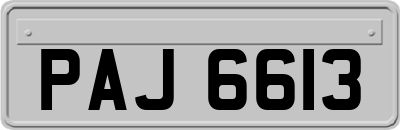 PAJ6613