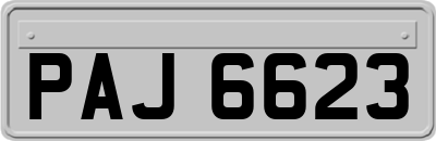 PAJ6623