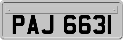 PAJ6631