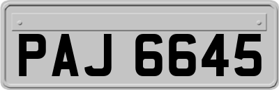 PAJ6645
