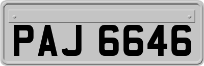 PAJ6646