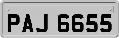 PAJ6655