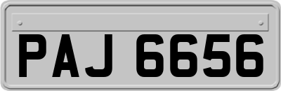 PAJ6656