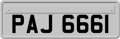 PAJ6661