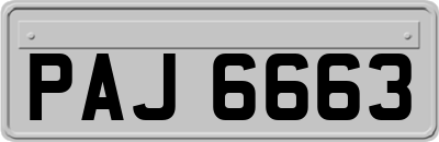 PAJ6663