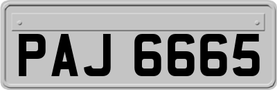 PAJ6665