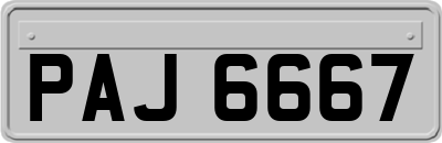 PAJ6667