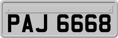 PAJ6668