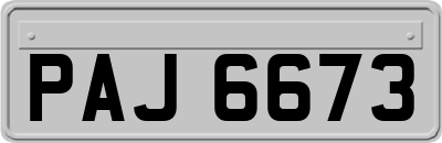 PAJ6673