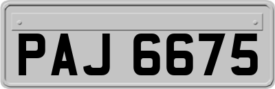 PAJ6675
