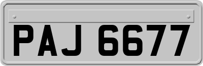 PAJ6677
