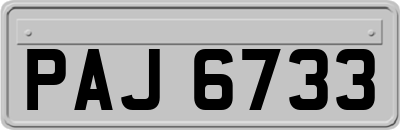 PAJ6733