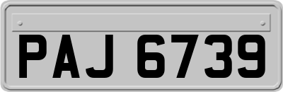 PAJ6739