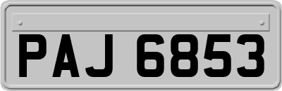 PAJ6853