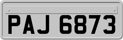 PAJ6873