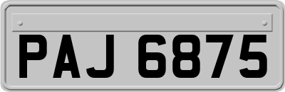 PAJ6875