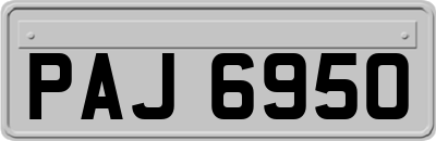 PAJ6950