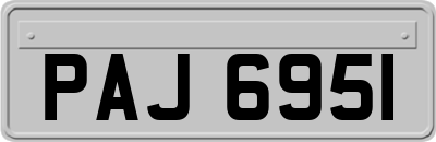 PAJ6951