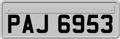 PAJ6953