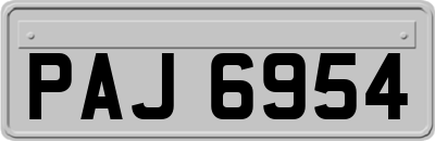 PAJ6954