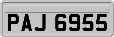 PAJ6955