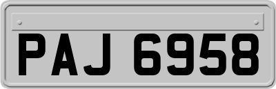 PAJ6958