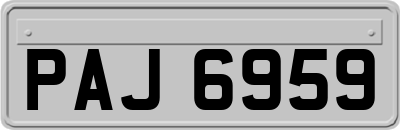 PAJ6959