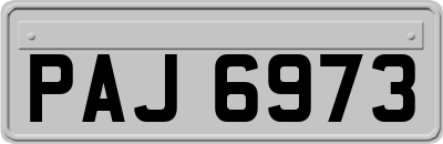 PAJ6973