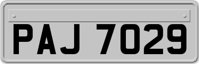 PAJ7029