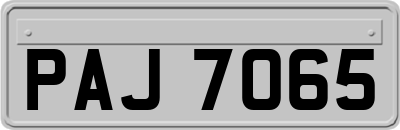 PAJ7065