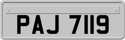 PAJ7119