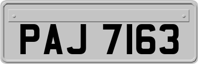PAJ7163