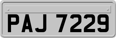 PAJ7229