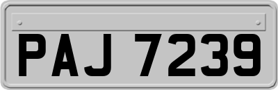 PAJ7239