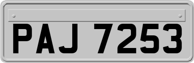 PAJ7253