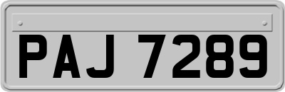 PAJ7289