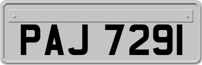 PAJ7291