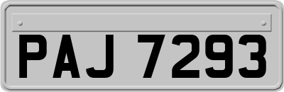 PAJ7293
